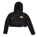 Cropped ALOCS Puffer